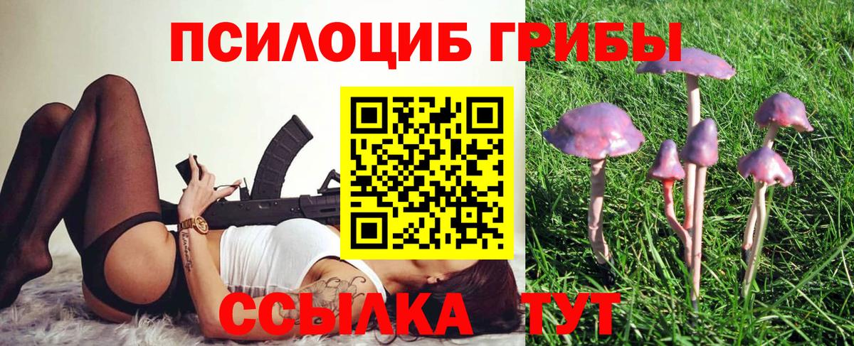 Псилоцибиновые грибы Cubensis  Галлюциногенные грибы ЛСД  Вход с VPN  Ногинск 